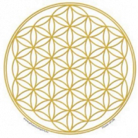 Raamsticker bloem des levens goud