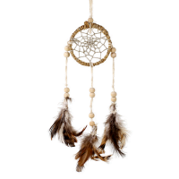 Dromenvanger Hennep klein