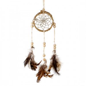 Dromenvanger Hennep klein