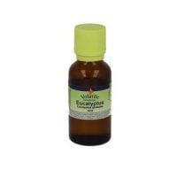 Etherische olie Eucalyptus 50 ml