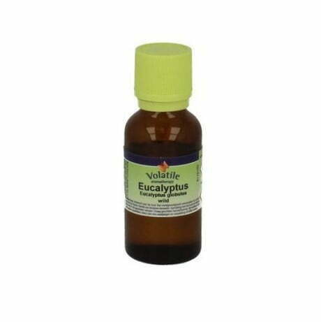 Etherische olie Eucalyptus 50 ml