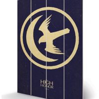 wandbord game of thrones arryn
