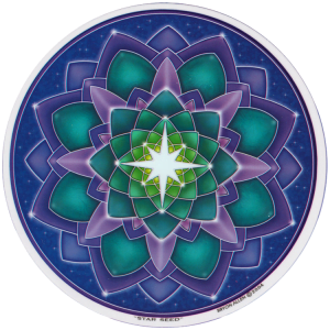 raamsticker sterrenstof