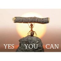 Wenskaart Yes You Can