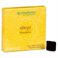 Aromafume wierook&shy;blokjes Chakra Manipura