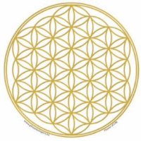 Raamsticker bloem des levens goud