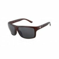 Zonnebril met bruin montuur