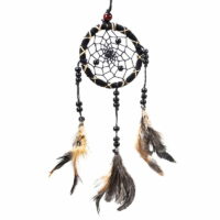 Dromenvanger zwart met veren